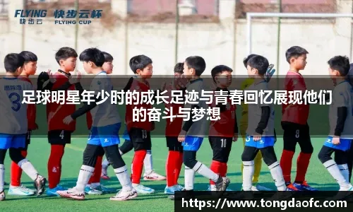 【2025中超总结之大连英博】打造亚洲第一主场