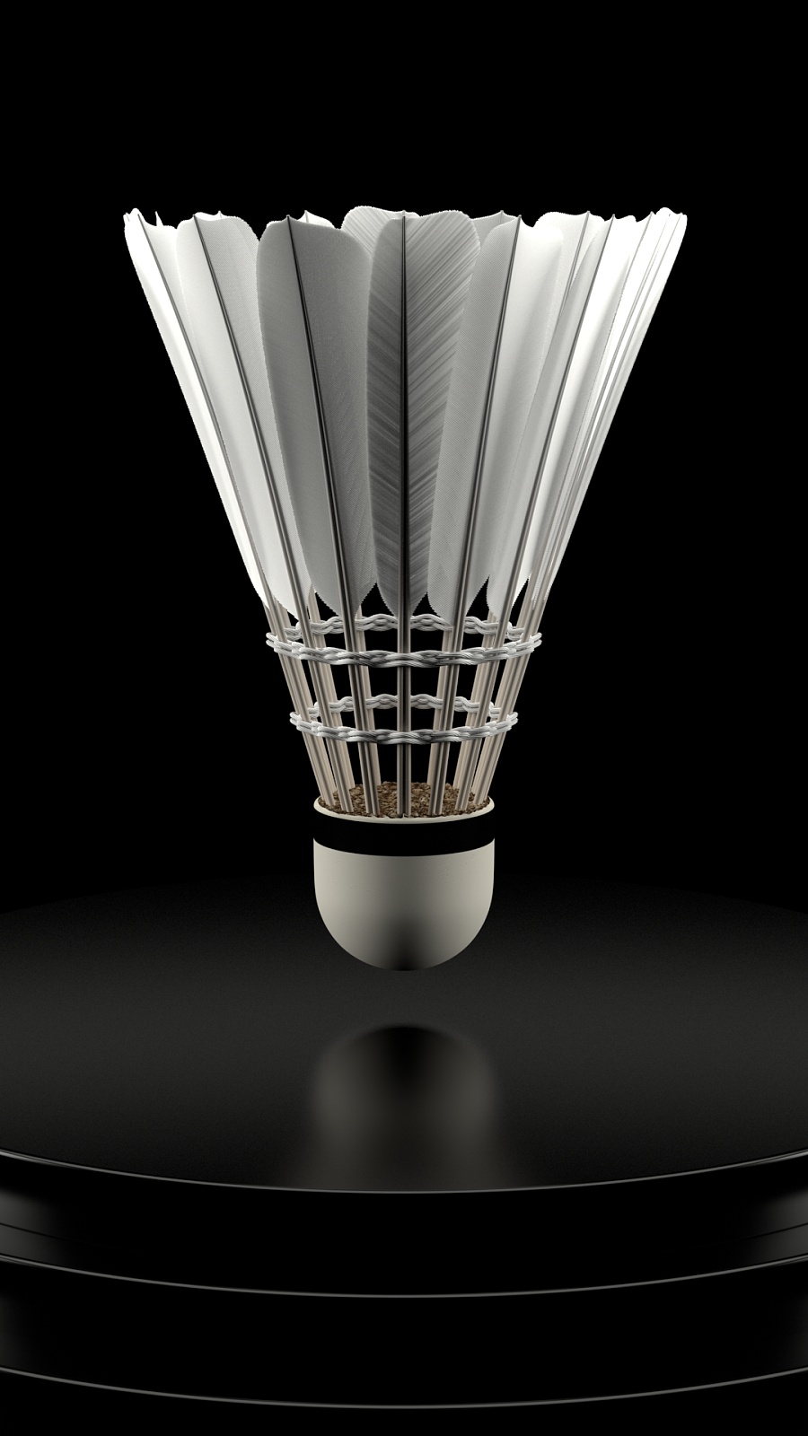 沃特金斯以 沃特金斯以