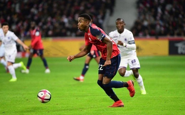 的反扑计划 的反扑计划