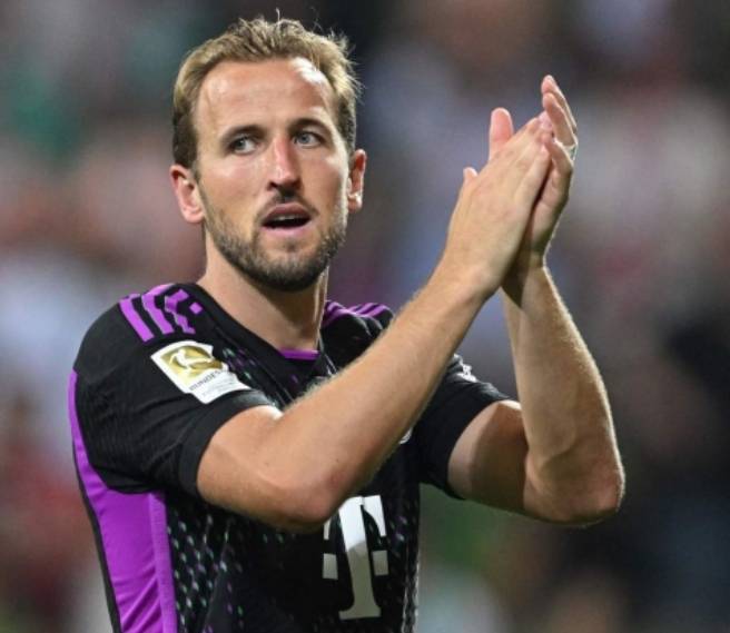 了文化地域 了文化地域